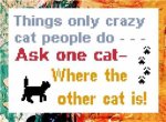 Crazy Cat Person (image for) Crazy Cat Person